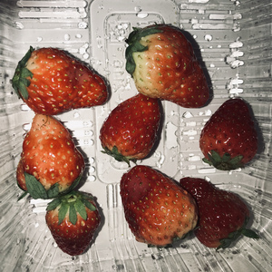 肉欲xmxx Gay hotpecs
